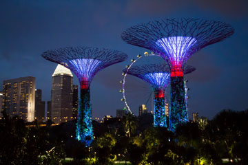 _MG_3408-singapore.jpg