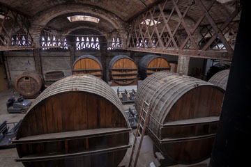 _MG_4296_Codorniu.jpg