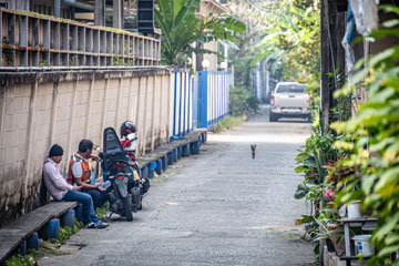 _79A3716-alley-birdy.jpg
