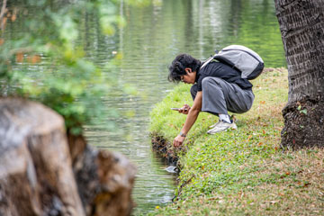 _79A3902-boy-filming-a-turtle.jpg