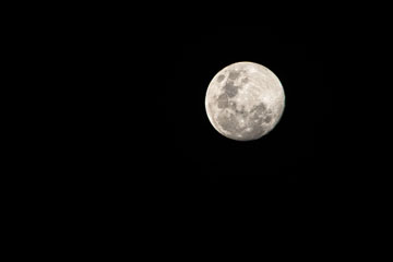 _79A4686-moon.jpg