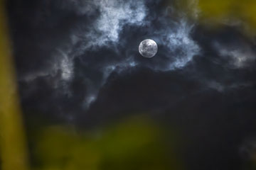 _79A4688-moon.jpg