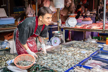 _79A5414-khlong-toei-shrimp-dude.jpg